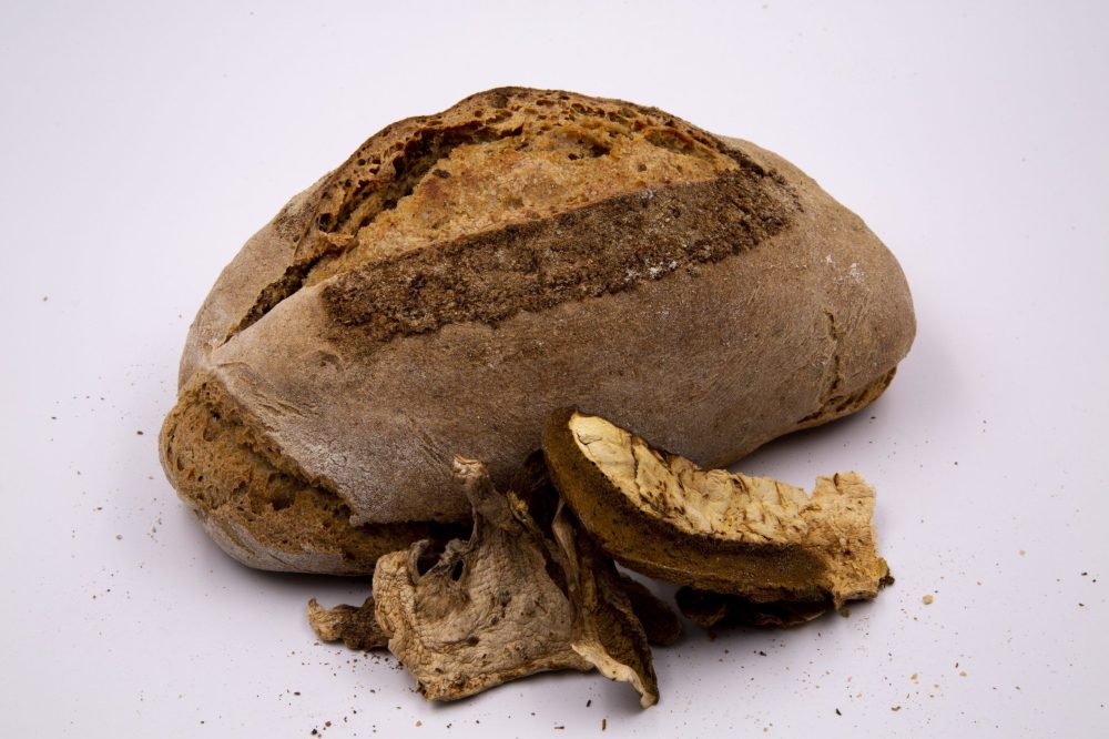 Hogaza boletus